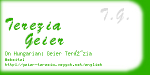 terezia geier business card